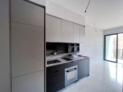 Haus On Handy (D9), Condominium #464394841